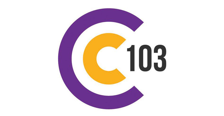 C103